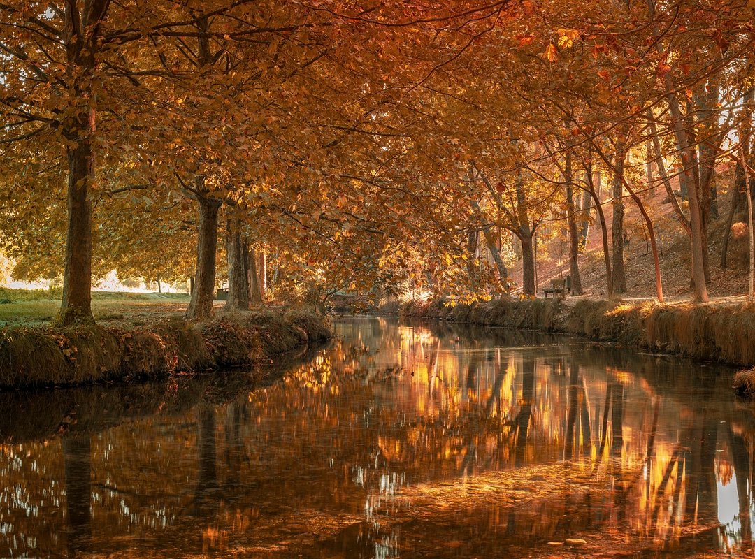 Consideraciones Antes de Tatuarte