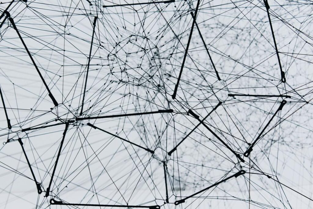 Neural Architectures