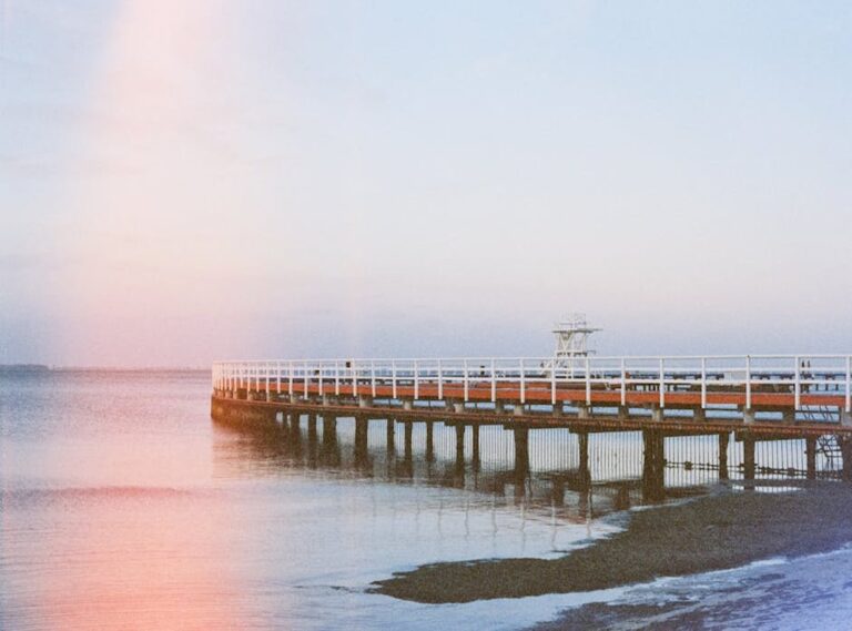 victoria mezei leaks