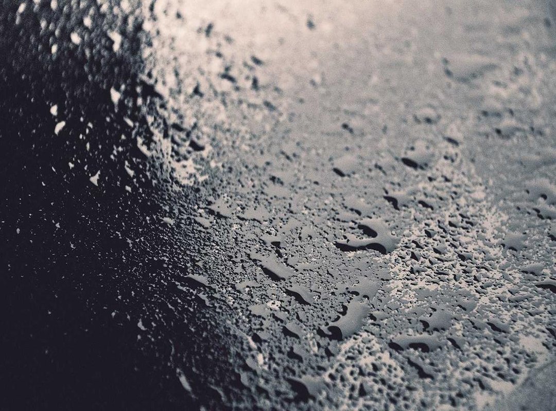 FAQs: Common Questions About Angry Cornelia Fe