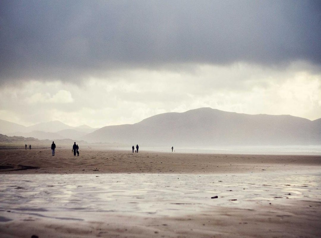 Practical Applications: When to Use Anigliscan