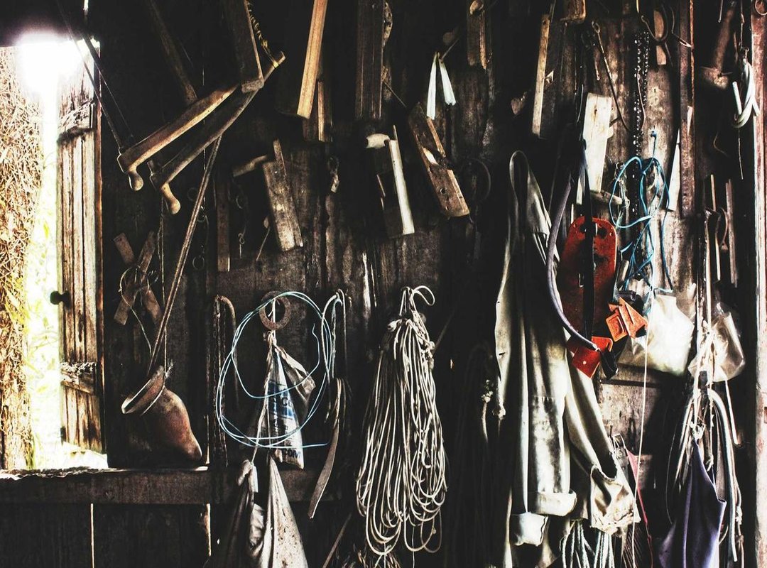 FAQs: Common Questions About Chapter 1