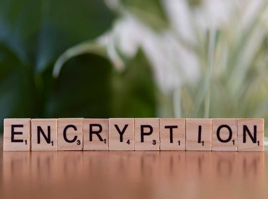 encryption techniques guide