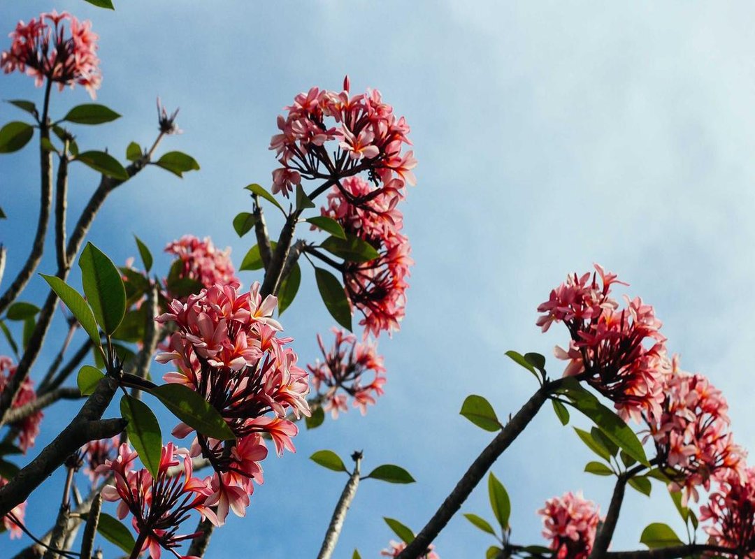 Festival Essentials: What to Bring and What to Leave at Home