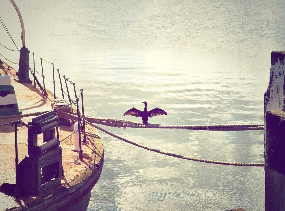 The Technical Foundation: Alok's Expertise in Core Computing