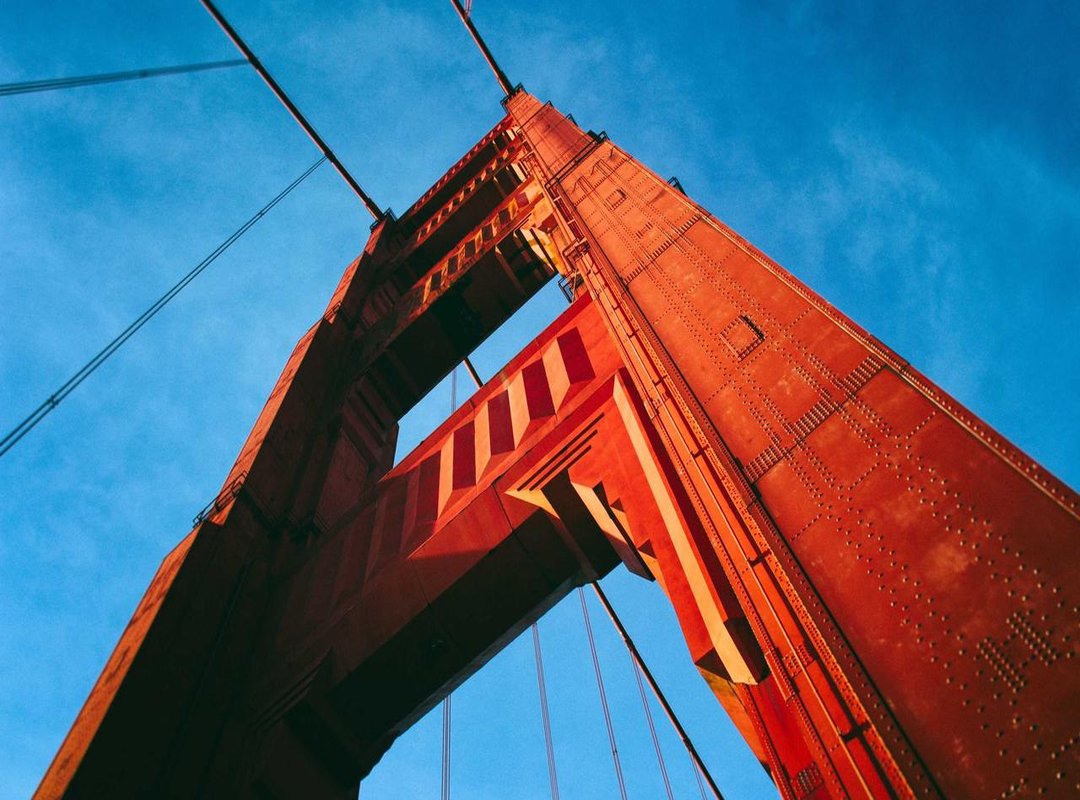 In the Public Eye: Appearances and Social Media Footprint