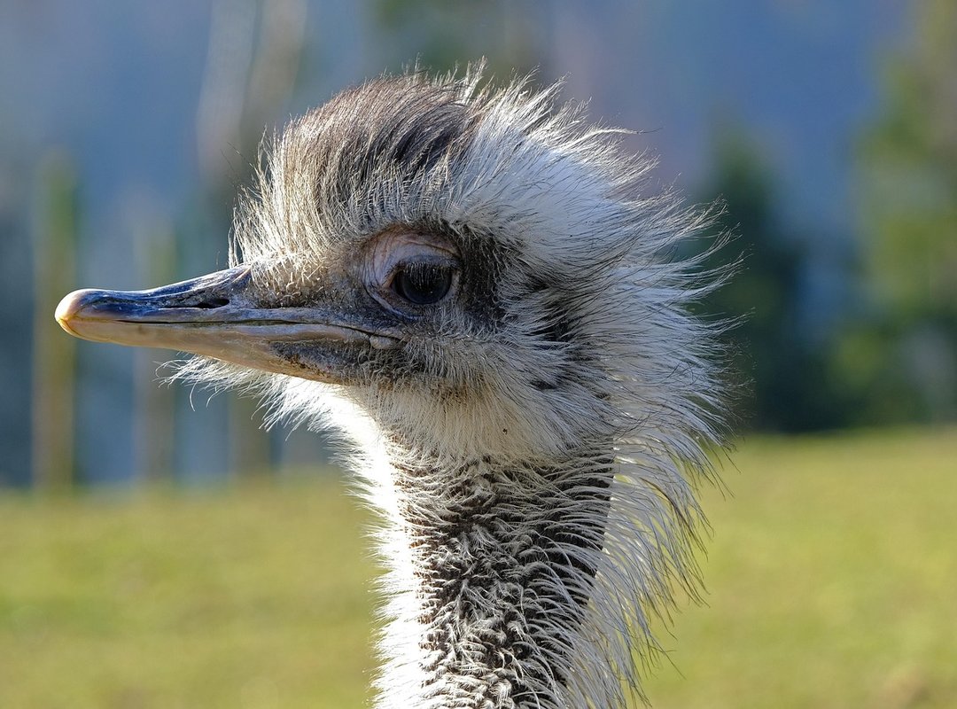 Technology Updates Otvptech