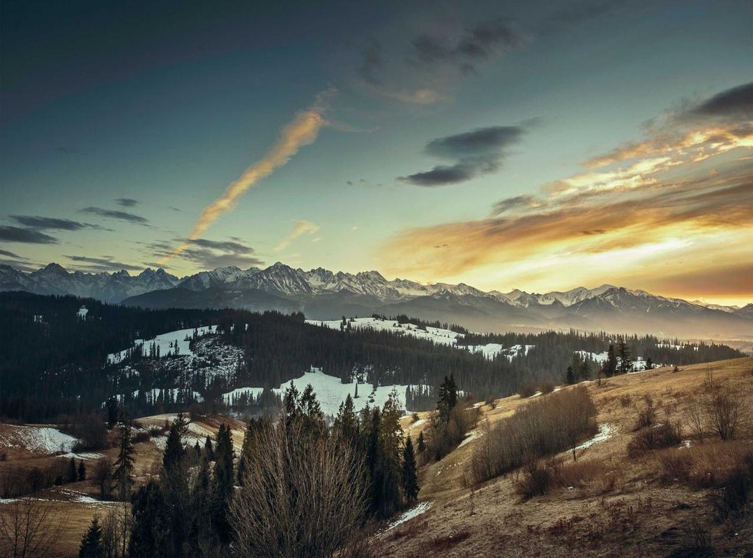 Your Step-by-Step Guide: From Screen to Paper Doll