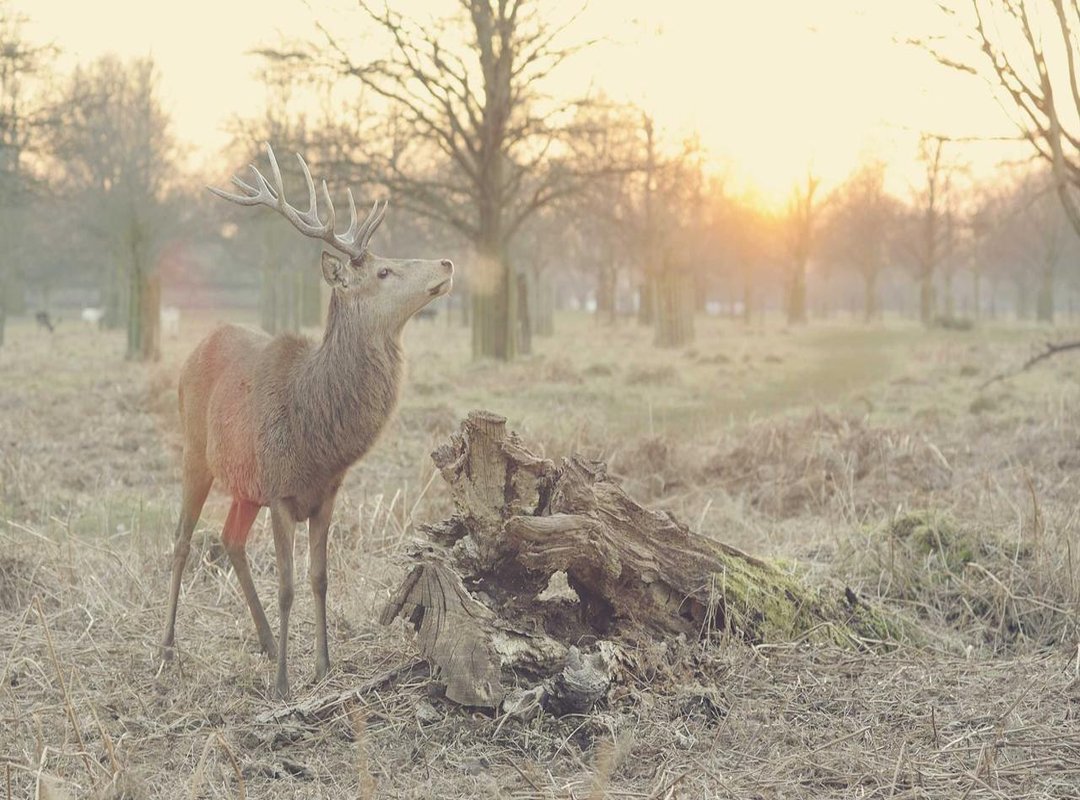 Don't Find It, Create It: How to Make Your Own Unique Avatar